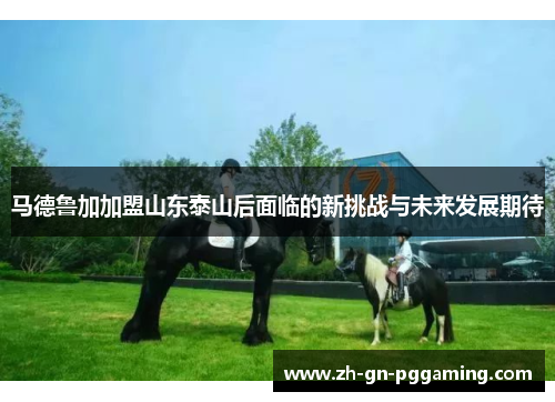 马德鲁加加盟山东泰山后面临的新挑战与未来发展期待 马德鲁加加盟山东泰山后面临的新挑战与未来发展期待