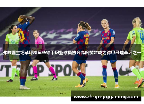 弗赖堡主场草坪质量获德甲职业球员协会高度赞誉成为德甲最佳草坪之一